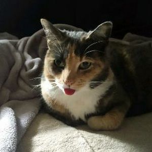 Meet your Posher, Julissa